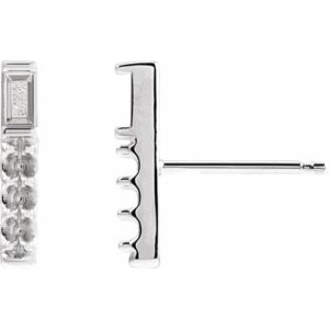 Accented Bar Earring