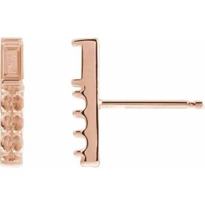 Accented Bar Earring