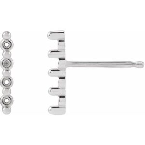 Accented Bar Earrings