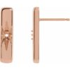 accented-bar-earrings-75506350.jpg