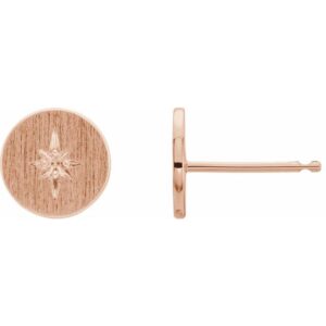 Accented Earrings