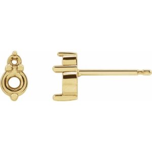 Accented Earrings