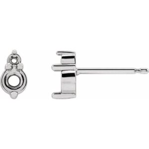 Accented Earrings