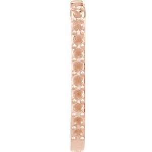 Accented Elongated Hoop Earrings