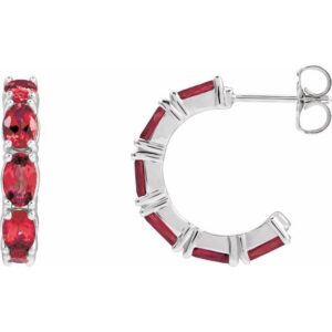 Accented Hoop Earrings