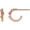 accented-huggie-earrings-75573000.jpg