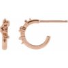 accented-huggie-earrings-75573527.jpg