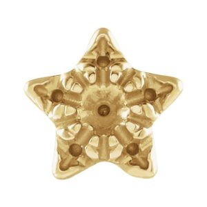 Accented Star Earrings