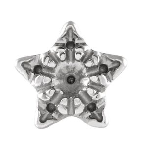 Accented Star Earrings