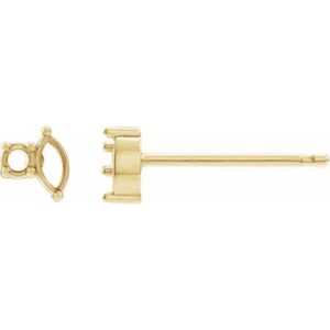 Accented Stud Earrings