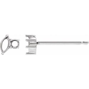 Accented Stud Earrings