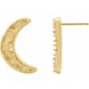 crescent-moon-earrings-77994306.jpg