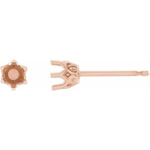 Round 6-Prong Crown Stud Earrings